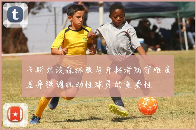 卡斯尔谈森林狼与开拓者防守难度差异强调机动性球员的重要性
