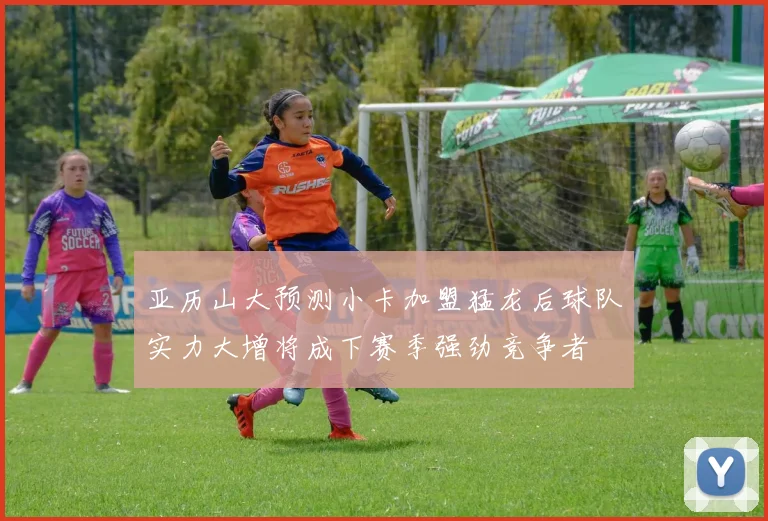 亚历山大预测小卡加盟猛龙后球队实力大增将成下赛季强劲竞争者